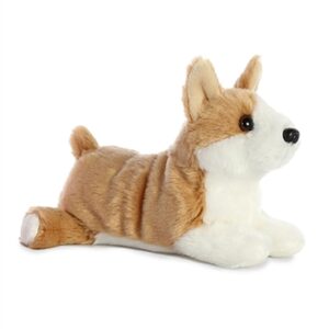Corky Corgi